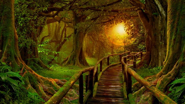 Let us help you guide your path through the jungle of nutraceuticals